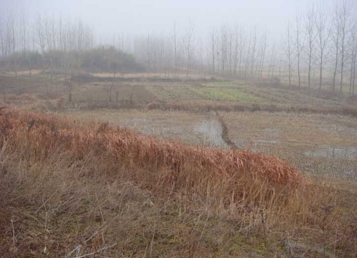 基地原貌